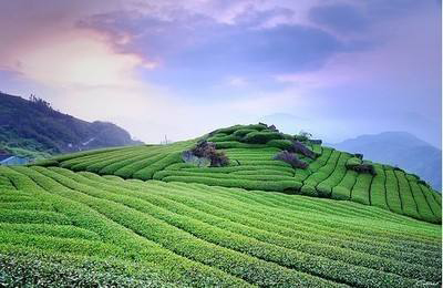 उ यी पहाड