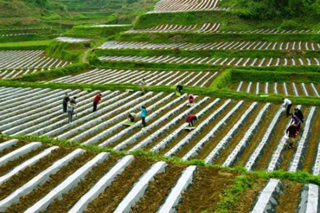 विकासोन्मुख देशहरूले सिके चीनको गरिबी उन्मूलन कार्य -2