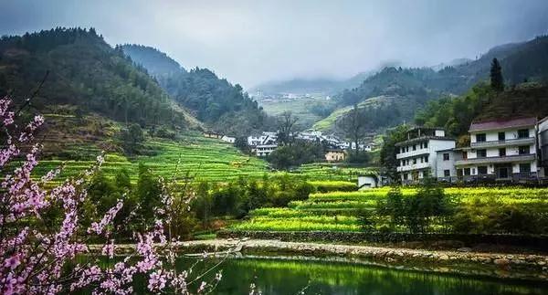 हरित विकासको बाटोमा चीन अडिग