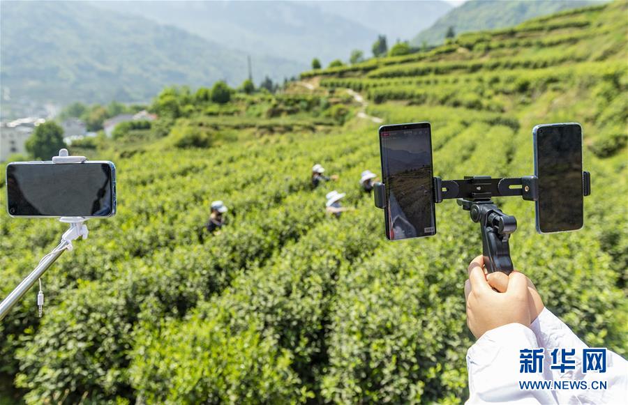 इन्टर्नेट चिया विक्रीका लागि सहायक
