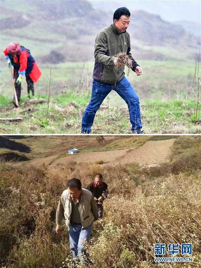 तिब्बती लआ गाउँको ९५औं गाउँले