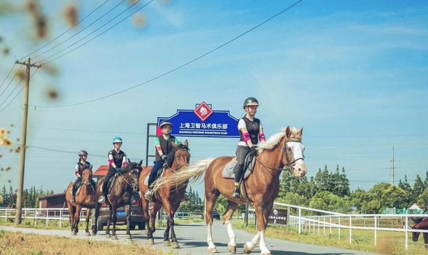 【文化旅游】上海长兴岛全域旅游度假区国庆假期热闹不断