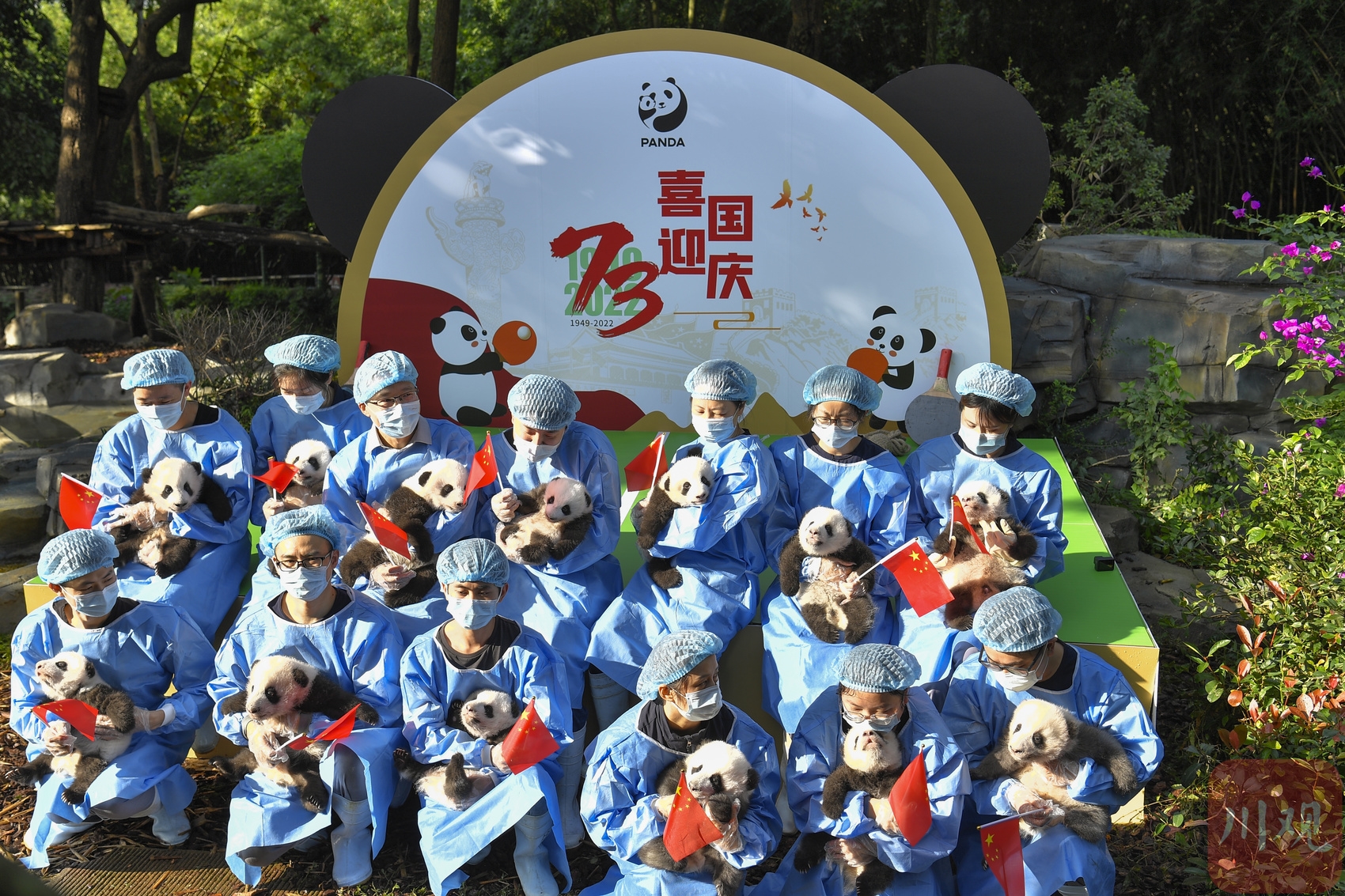 （转载）萌翻全场！“2022级“新生大熊猫宝宝集体亮相