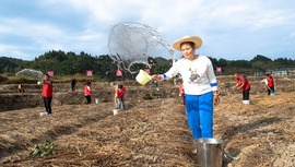 贵州天柱：干群合力开展“抗旱保秋种行动”