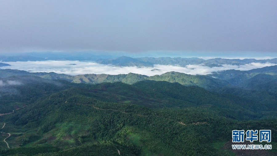 लान छ्याङ जिल्ला