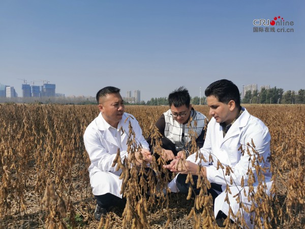 我在吉林这十年 | 巴基斯坦博士阿迪：在吉林，培育影响世界的大豆良种_fororder_微信图片_20220929145757
