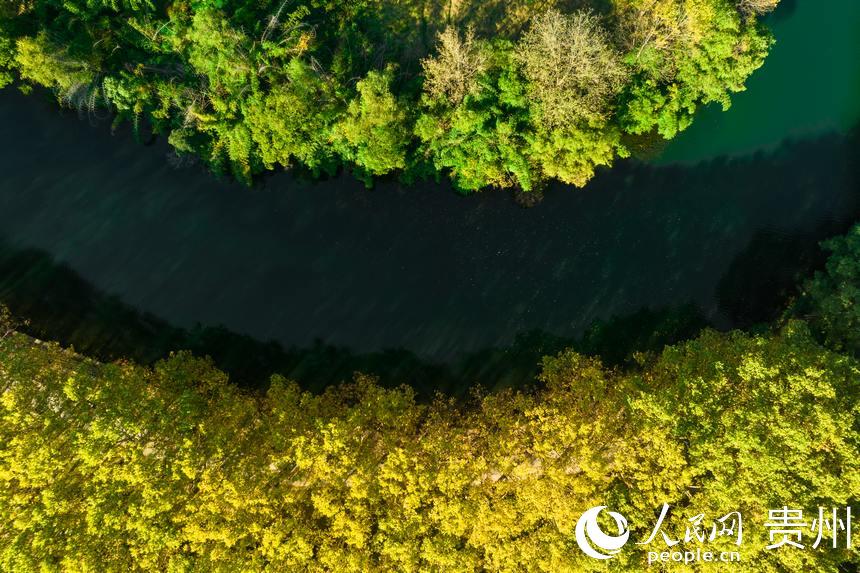 贵阳花溪：赏景正当时 醉美秋色已上线