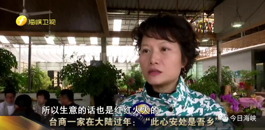 “此心安处是吾乡”今年春节这些台胞选择在大陆过年