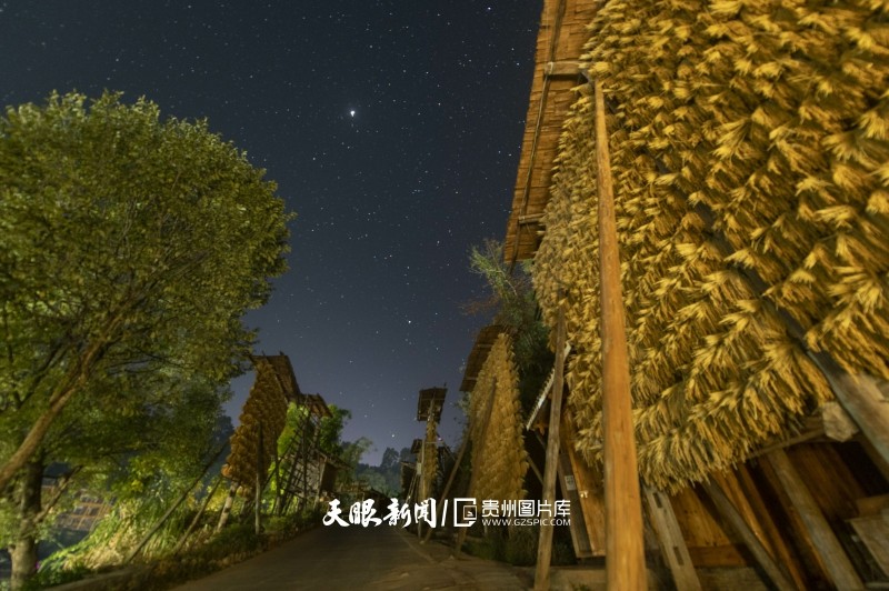 黔东南从江：星夜伴禾晾