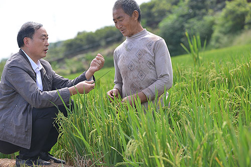 自贡市荣县：刘瑞强获四川省首届“稻香杯”丰收奖先进个人_fororder_2刘瑞强（左）指导村民种植水稻