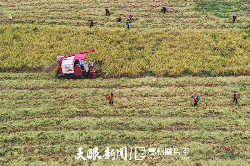 贵州大地五彩“丰”景