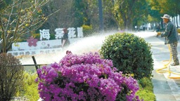 北京52處公園“拆欄透綠”融入城市