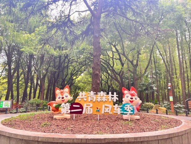 【文化旅游】国庆假期上海共青森林公园打造唯美风车营地