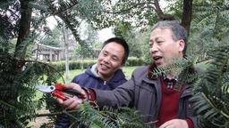 加快农民增收 促进共同富裕 绍兴市自然资源和规划局出台22条措施