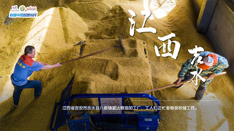 粮田绘“丰”景 | 颗粒归仓！全国秋粮收获超11亿亩