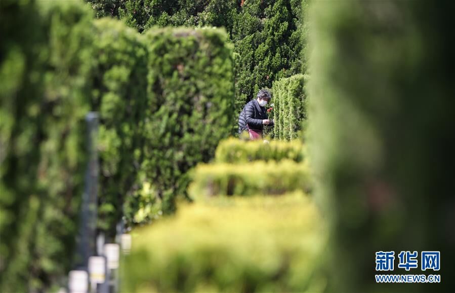 पितृ दिवसमा नयाँ छनौट