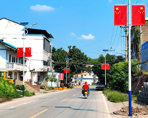 自贡市荣县乐德镇挂国旗 迎国庆 飘扬“中国红”_fororder_03-乐德镇主街道挂国旗