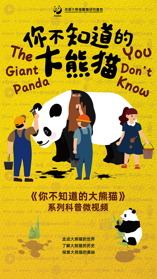 国际熊猫日 到成都天府国际机场也可看“熊猫”_fororder_你不知道的大熊猫海报-供图-成都大熊猫繁育研究基地