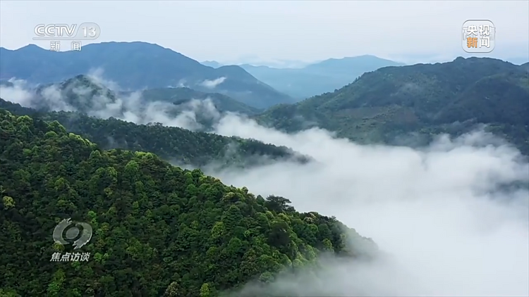 焦点访谈丨奋斗 新的伟业——推动绿色发展 建设美丽中国