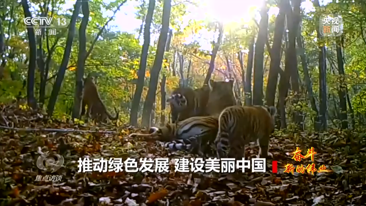 焦点访谈丨奋斗 新的伟业——推动绿色发展 建设美丽中国