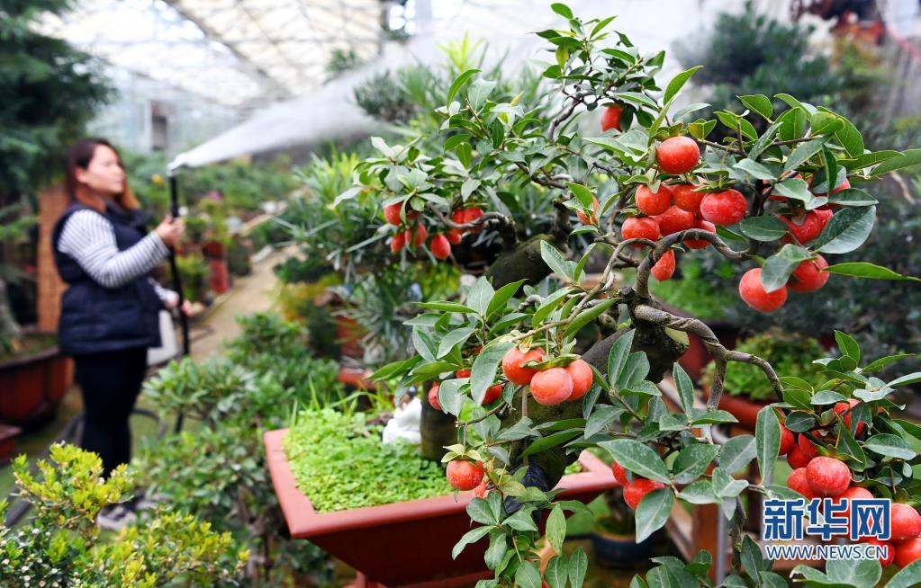 （轉載）西安：發展“農業景區” 助力鄉村振興