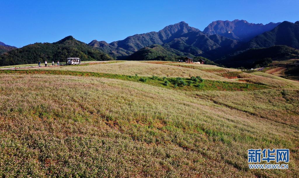 （轉載）西安：發展“農業景區” 助力鄉村振興