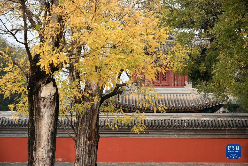 圆明园秋意盎然