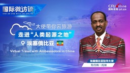 【國際微訪談】大使帶你雲旅遊——走進“人類起源之地”衣索比亞