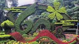 （轉載）成都菊花展開幕