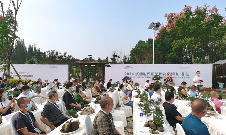 盆景技能大赛在成都郫都区安龙村举行 50名选手同台竞技_fororder_22