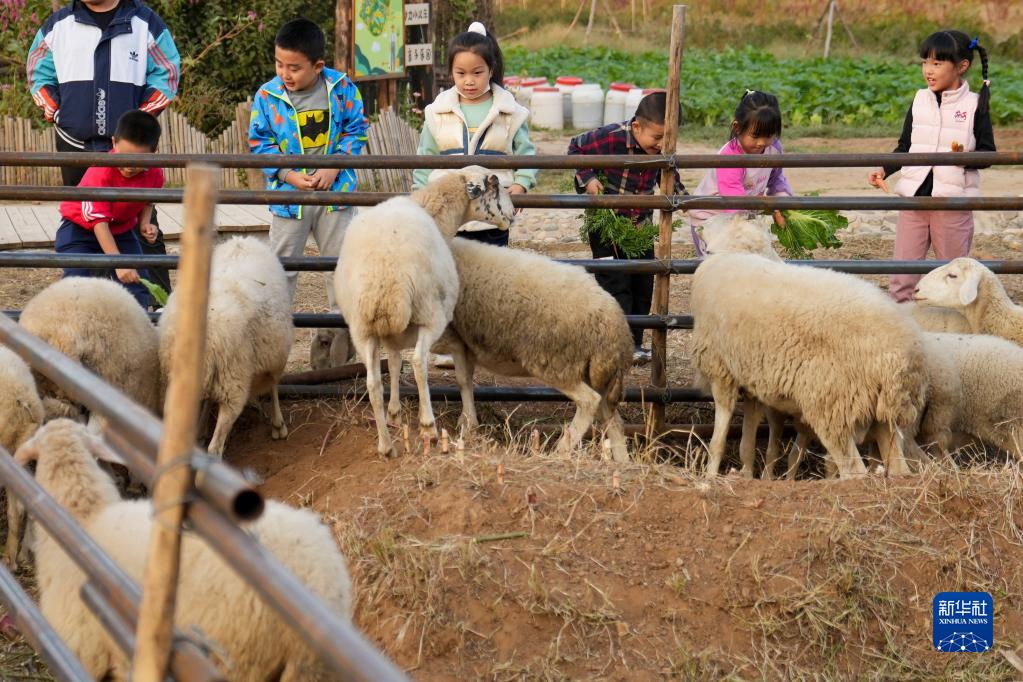 北京：农场休闲游助力乡村经济