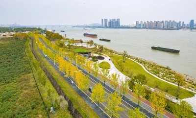 南京扬子江生态公园：“金色大道”美如画