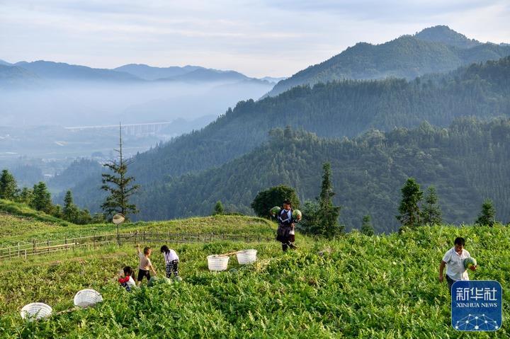 持续做好绿水青山就是金山银山这篇大文章—— 贵州：绿色发展闯新路