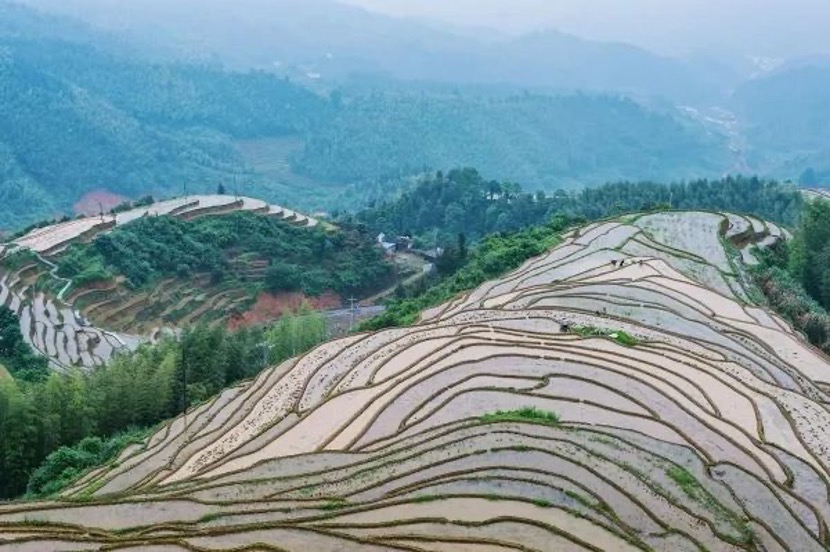 Jiangxi Shangbao Terraces Selected as World Heritage Irrigation Structure_fororder_02