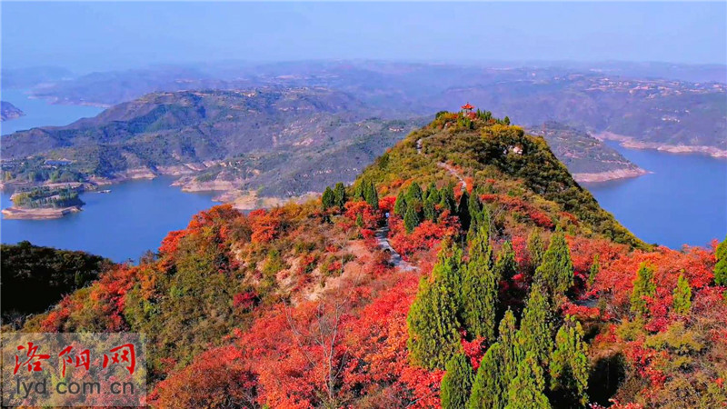 洛陽創建東亞文化之都 | 新安荊紫仙山：漫山紅葉 景色壯美