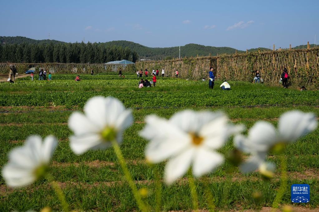 北京：農場休閒遊助力鄉村經濟