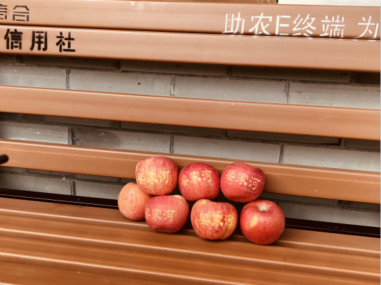 梁家河的苹果已有了自己的品牌.(陈灿 摄)