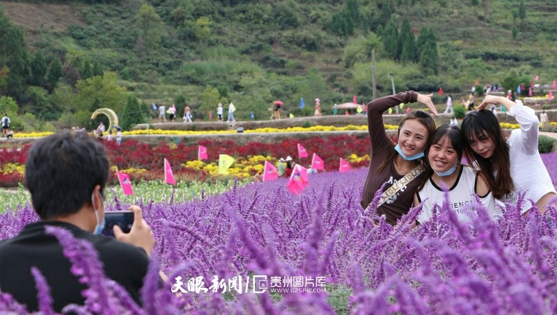 贵州开阳：苗寨花海 游人如织