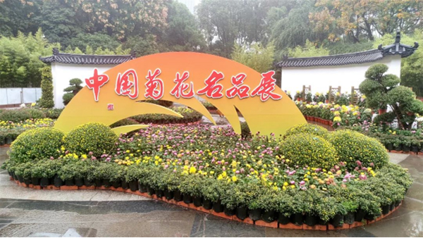 成都市第六十届菊花展暨中国菊花名品展启幕_fororder_未标题-1