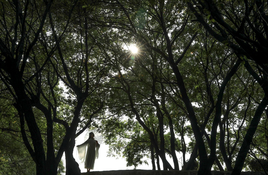 平顶山宝丰：山乡秋色美