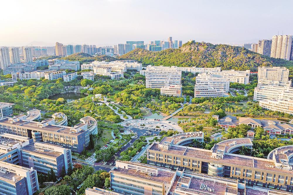 厦门：担当作为勇争先 年轻思明放声歌_fororder_ffb031bc-23b4-4363-876e-fd6a18f29a9d