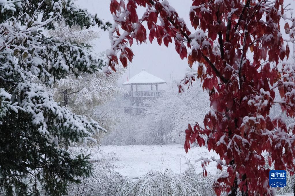 吉林多地迎來降溫降雪_fororder_1129058289_16653863667781n