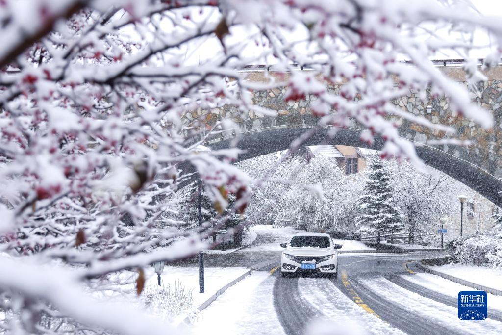 吉林多地迎來降溫降雪_fororder_1129058289_16653863666551n