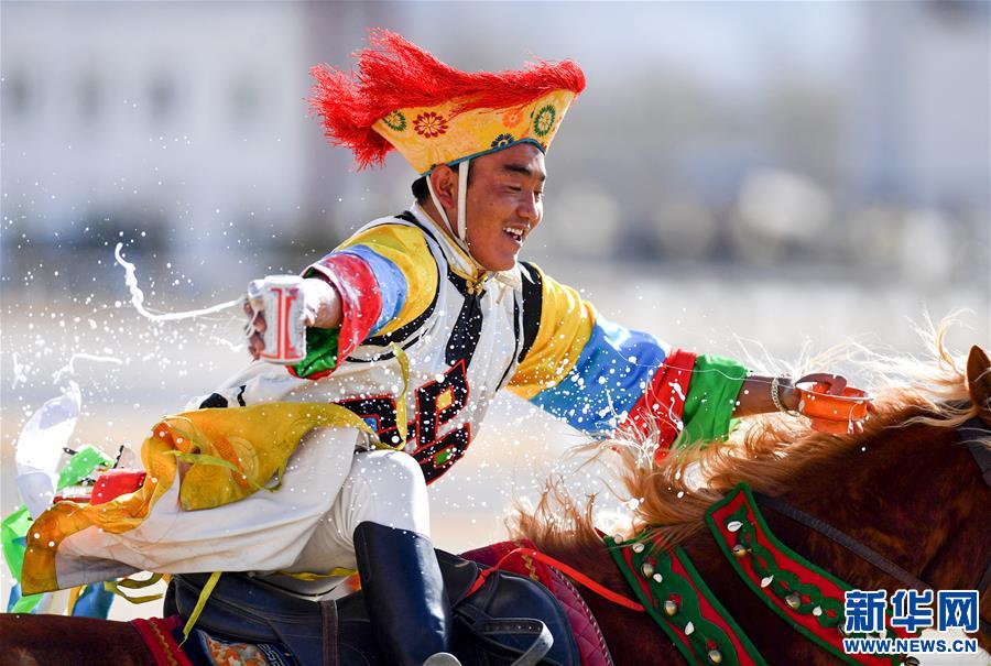民族体育——传统马术表演庆藏历新年(组图)