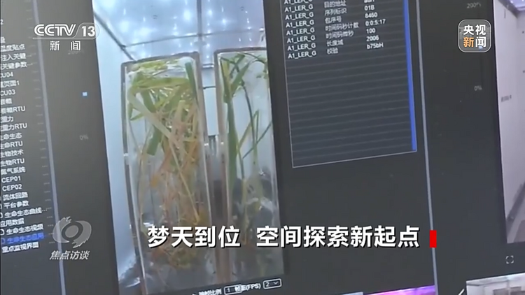 焦点访谈丨梦天到位 空间探索新起点