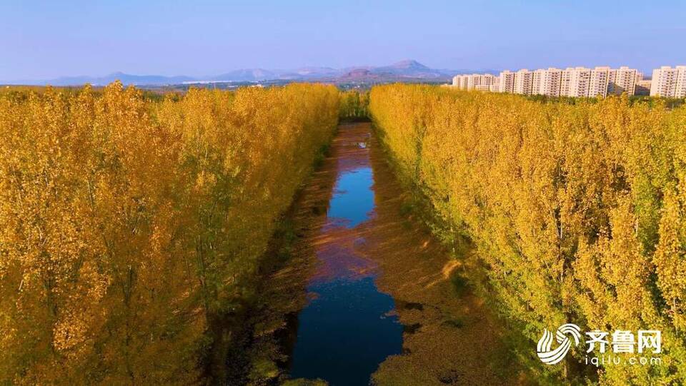 诗画山东｜带您沉浸式观赏东平山水秋色
