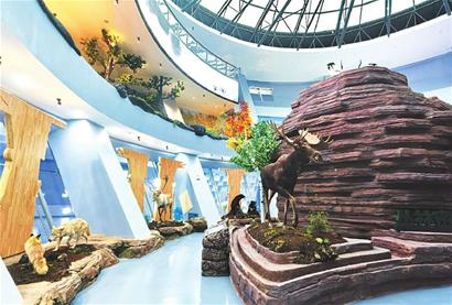 五大連池火山地質博物館生態廳完成標本布展