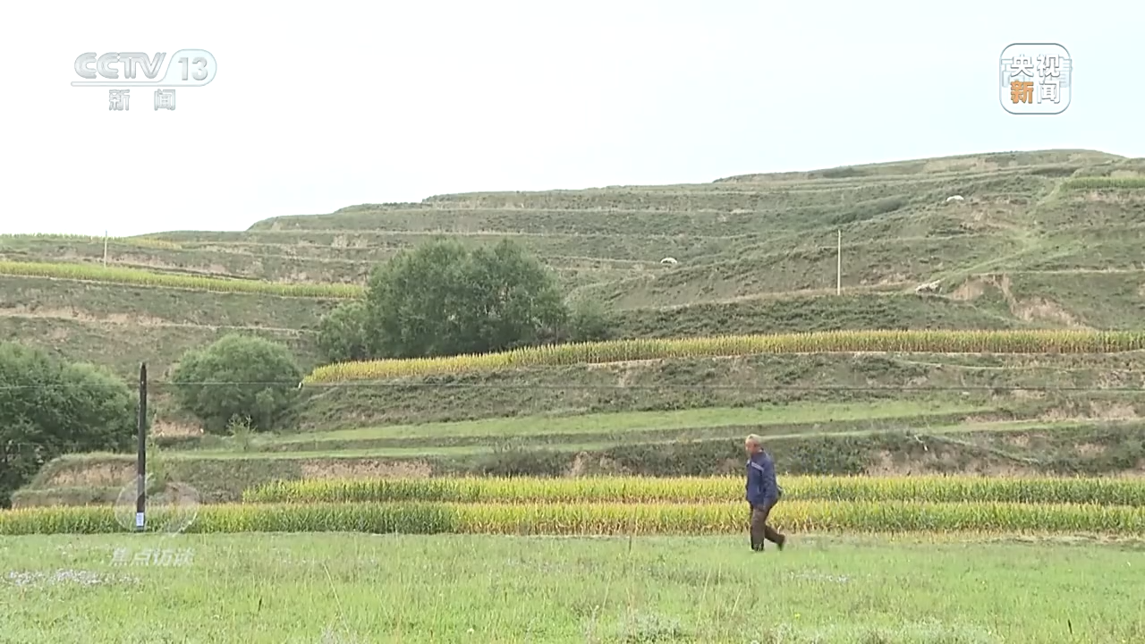 焦点访谈丨山乡巨变焕新颜