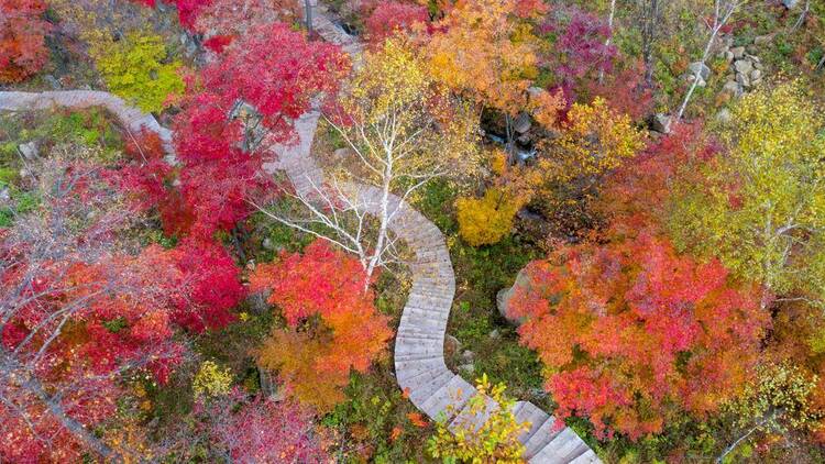 本溪：楓紅景美秋意濃