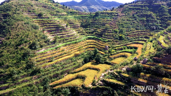 邯郸涉县：“石田”焕新